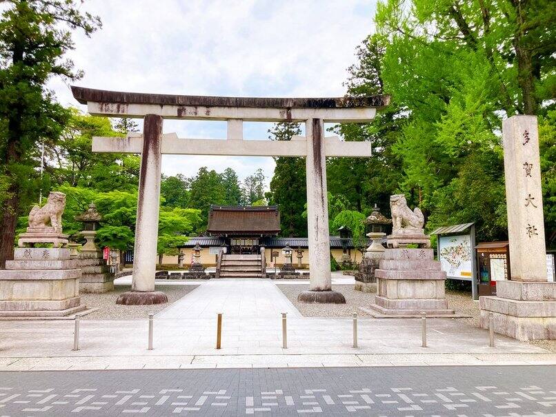 「おたまじゃくし」の語源？【滋賀県】多賀大社のご利益・歴史・アクセス