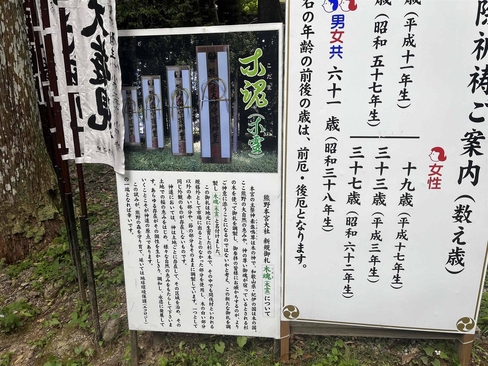 木魂